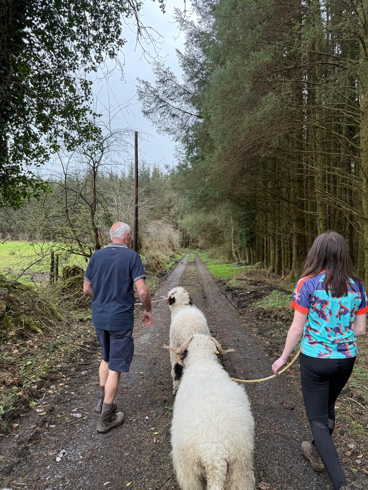 WhatsApp Image 2025-09-08 at 11.19.39(5)